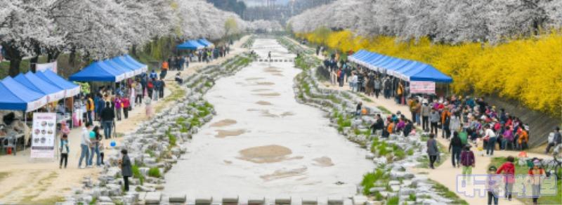 영주-1-1 6일 원당천에서 개최된 _벚꽃과 함께하는 시민 어울림 한마당_ 행사장 전경.jpg